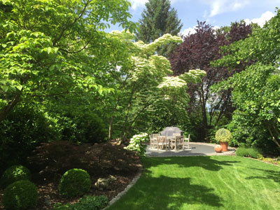 Professionelle Gartenpflege